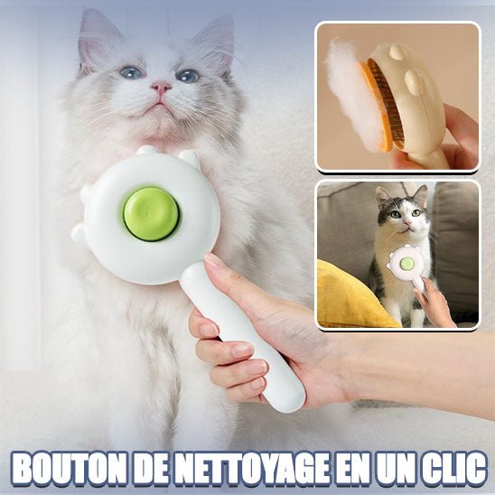 Brosse chat - Notre Miao - Mon - chattitude.com