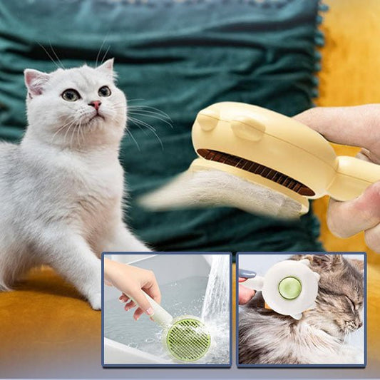 Brosse chat - Notre Miao - Mon - chattitude.com