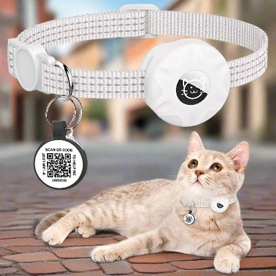 Collier Airtag Chat - CatAirTagCollar™ - Blanc - Mon Chattitude