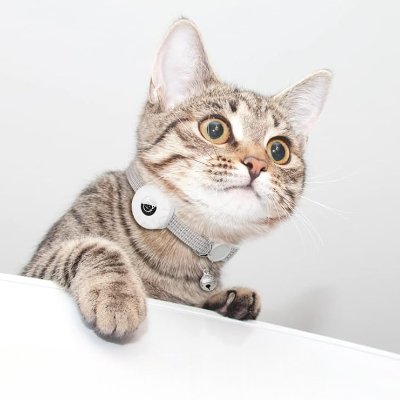 Collier Airtag Chat - CatAirTagCollar™ - Blanc - Mon Chattitude