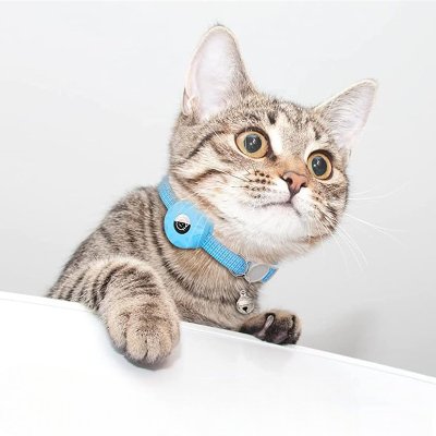 Collier Airtag Chat - CatAirTagCollar™ - Bleu - Mon Chattitude