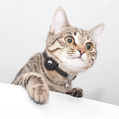 Collier Airtag Chat - CatAirTagCollar™ - Noir - Mon Chattitude