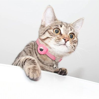 Collier Airtag Chat - CatAirTagCollar™ - Rose - Mon Chattitude