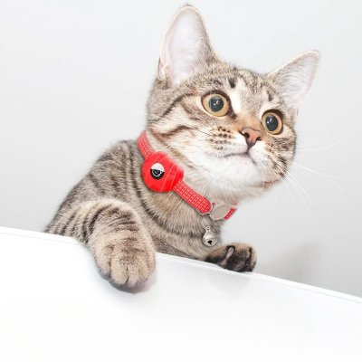 Collier Airtag Chat - CatAirTagCollar™ - Rouge - Mon Chattitude