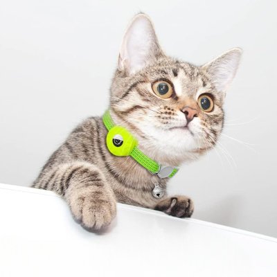 Collier Airtag Chat - CatAirTagCollar™ - Vert Menthe - Mon Chattitude