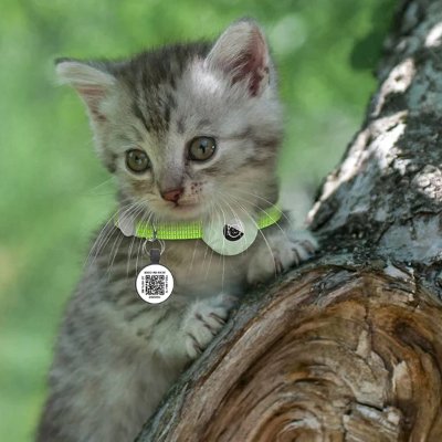 Collier Airtag Chat - CatAirTagCollar™ - Vert Menthe - Mon Chattitude