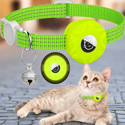 Collier Airtag Chat - CatAirTagCollar™ - Vert Menthe - Mon Chattitude