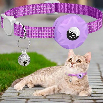 Collier Airtag Chat - CatAirTagCollar™ - Violet - Mon - chattitude.com