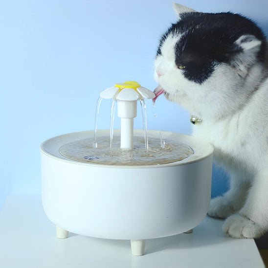 Fontaine à eau automatique pour chat - Mon - chattitude.com