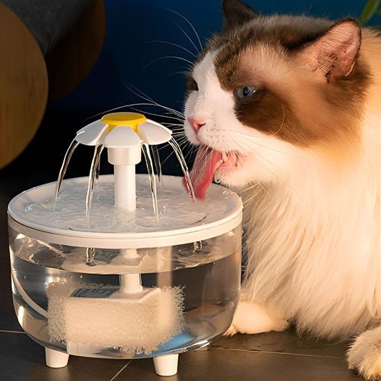 Fontaine à eau automatique pour chat - Mon - chattitude.com