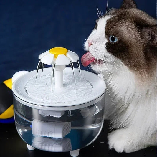 Fontaine à eau automatique pour chat - Mon - chattitude.com