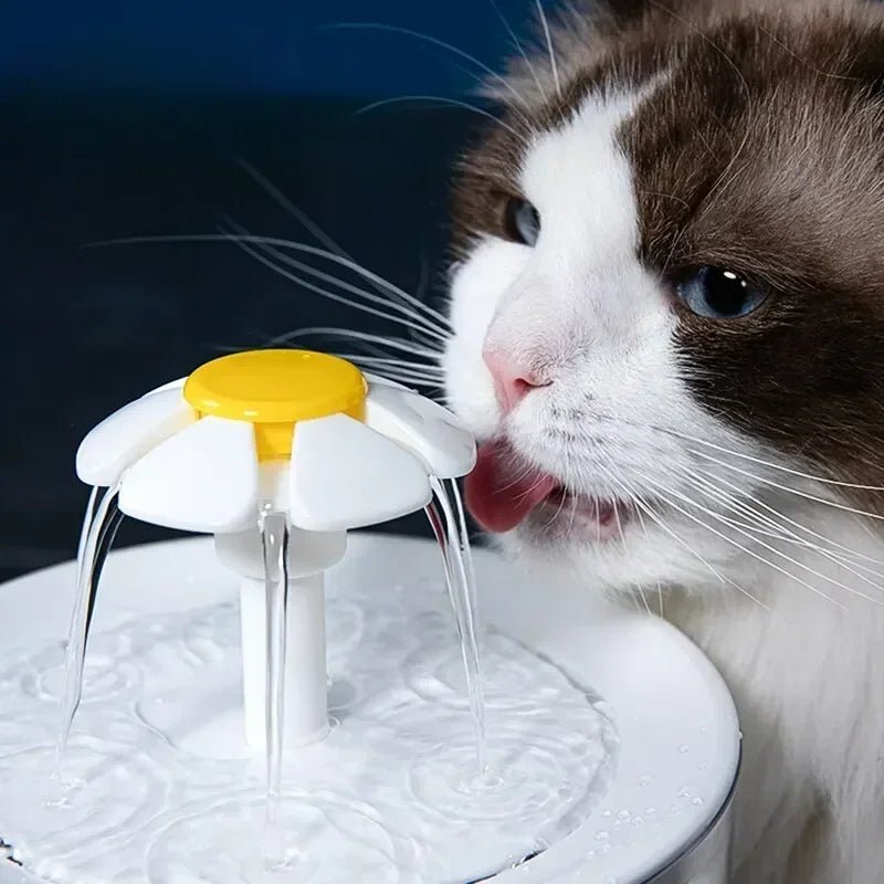 Fontaine à eau automatique pour chat - Mon - chattitude.com