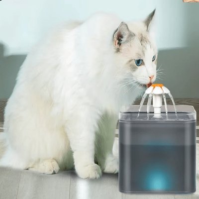 Fontaine à Eau pour Chat - SilentPetFountain™ - Gris - Mon - chattitude.com