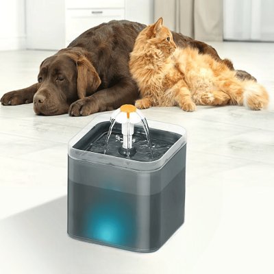 Fontaine à Eau pour Chat - SilentPetFountain™ - Gris - Mon - chattitude.com