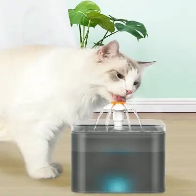 Fontaine à Eau pour Chat - SilentPetFountain™ - Gris - Mon - chattitude.com