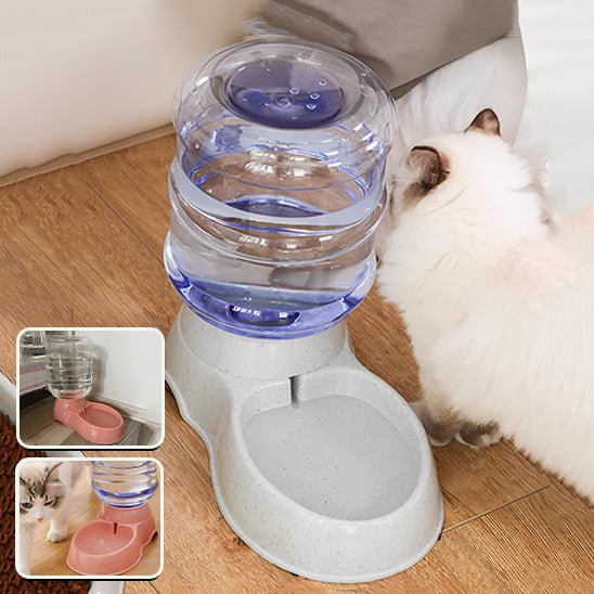 Gamelle pour Chat - Mon - chattitude.com